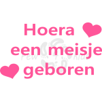 Raamsticker geboorte meisje 